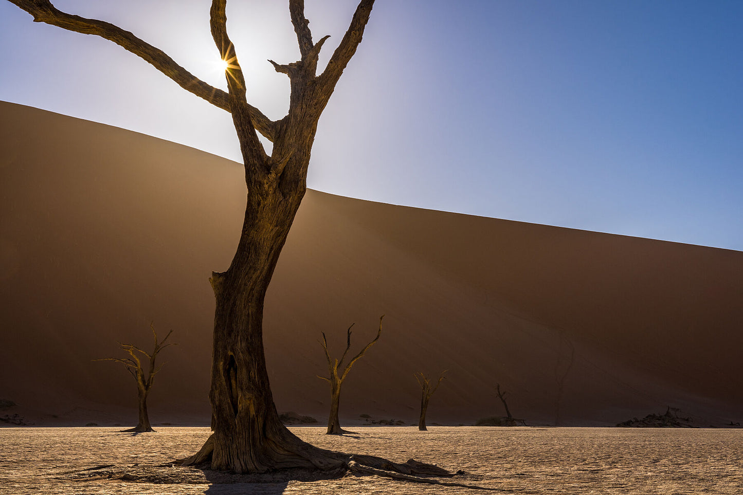 Deadvlei Dreams