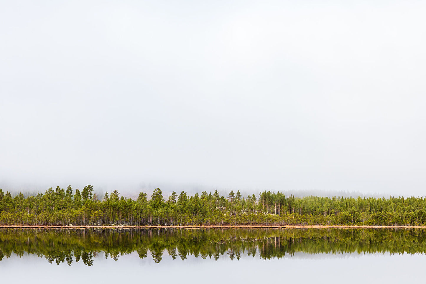 Stillness