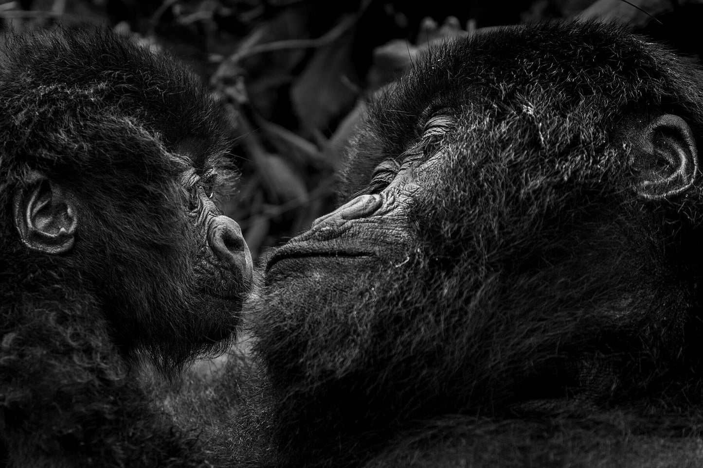 Motherhood