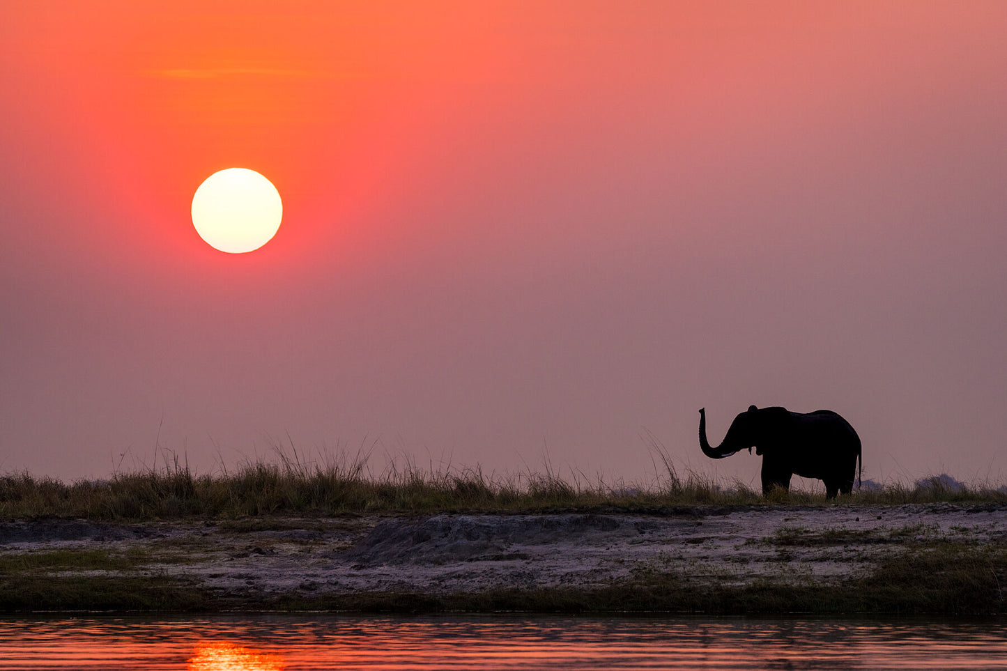 Chobe Sunset #1